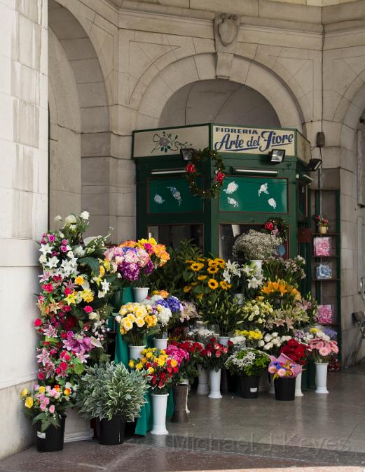 IMG_4613 copy.jpg - Fresh Flowers, in Padova